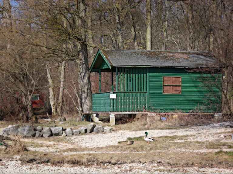 Tiny Home Living: Fostering Intercultural Dialogue