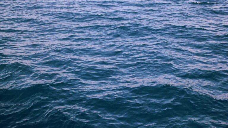 What Are Users Saying In 11Xplay Exchange Review?